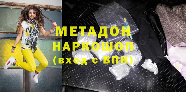 гашик Алексин