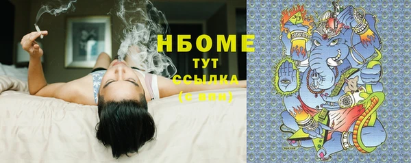 гашик Алексин