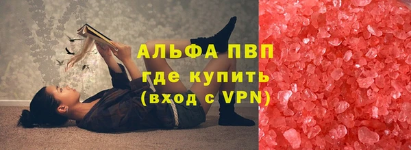 гашик Алексин