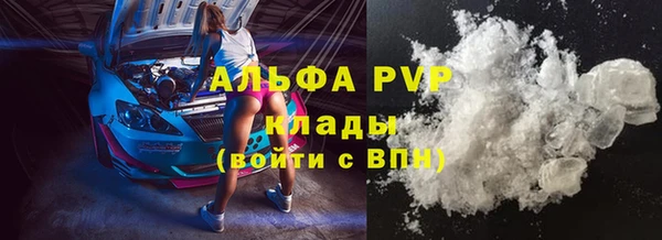 гашик Алексин