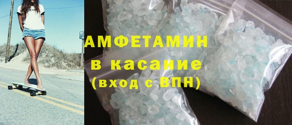 гашик Алексин